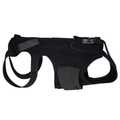 Frenchie with IVDD back support brace — pre and post surgery recovery