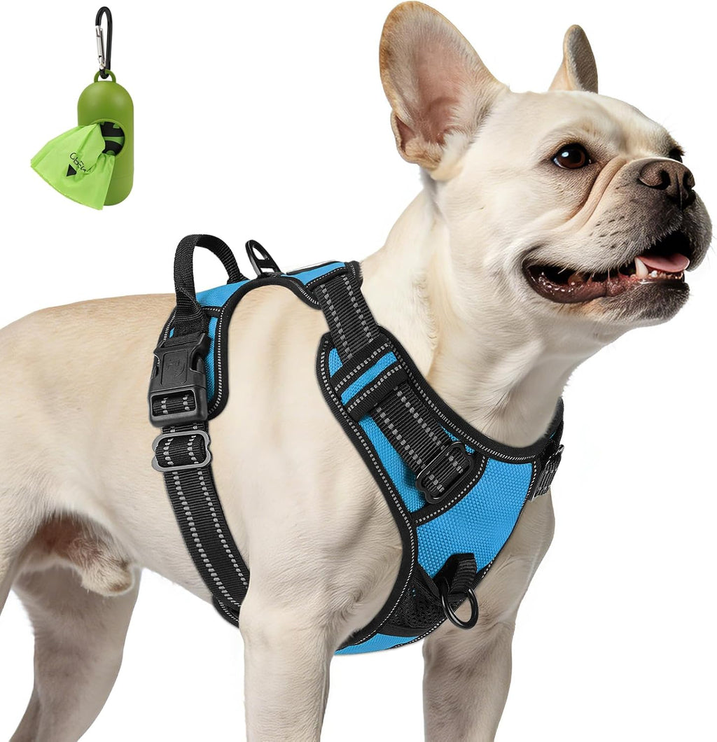 French Bulldog wearing the BreatheEasy No-Pull Harness in Light Blue