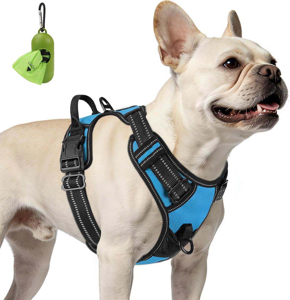 French Bulldog wearing the BreatheEasy No-Pull Harness in Light Blue