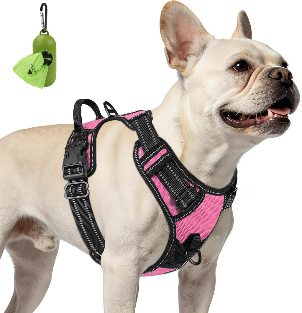 French Bulldog wearing the BreatheEasy No-Pull Harness in Pink
