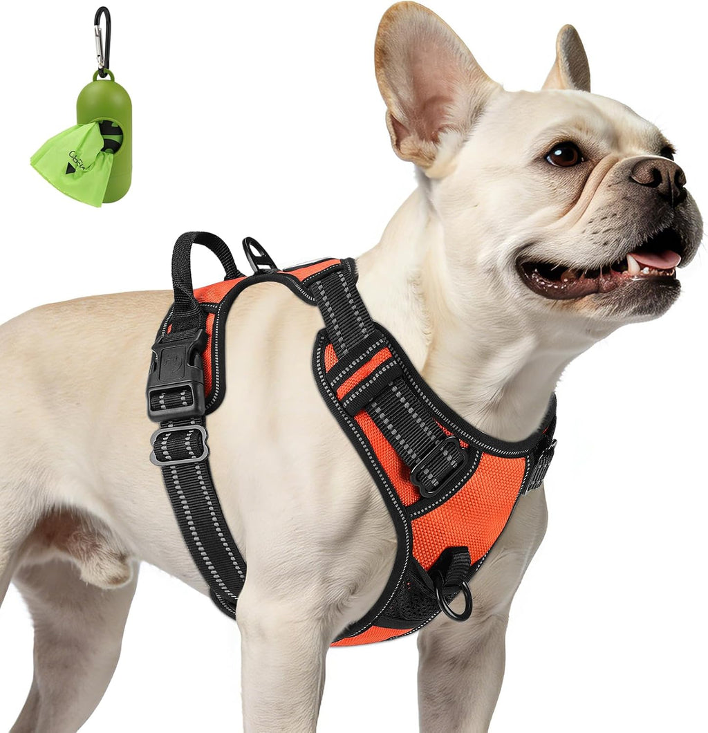 French Bulldog wearing the BreatheEasy No-Pull Harness in Orange