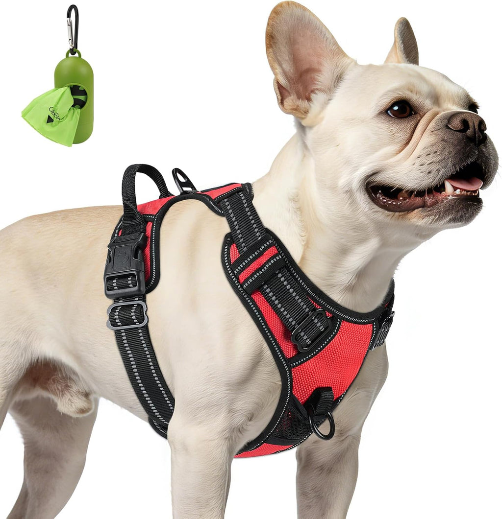 Real French Bulldog wearing the BreatheEasy No-Pull Harness (red) — front clip, reflective, control handle