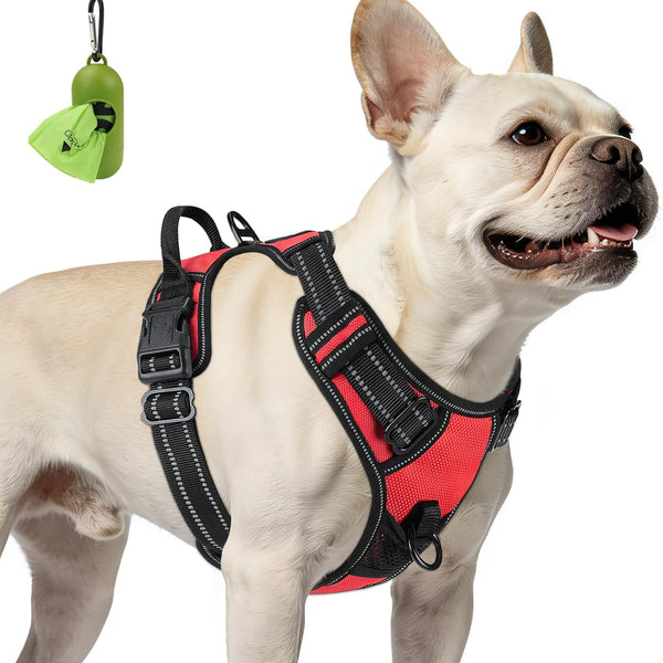 Frenchie BreatheEasy Harness V2 — No-Pull Vest for Adult French Bulldogs