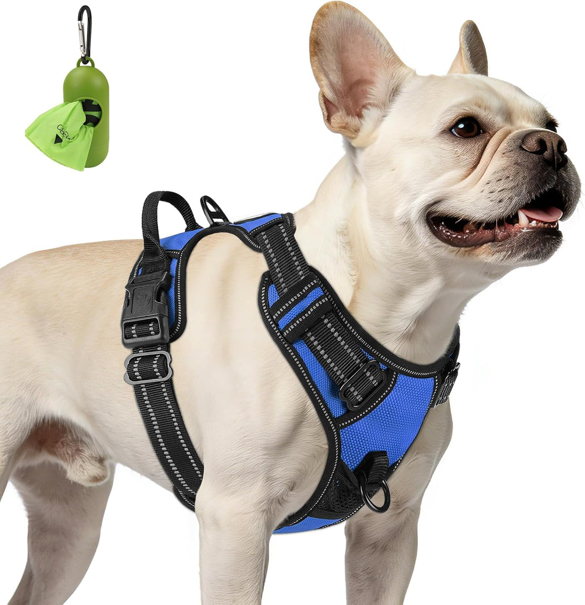 French Bulldog wearing the BreatheEasy No-Pull Harness in Blue