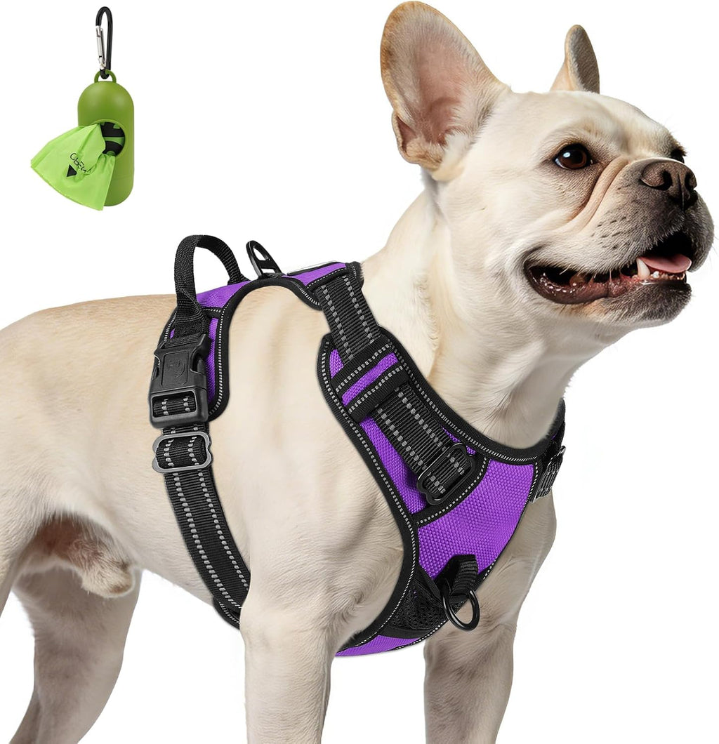 French Bulldog wearing the BreatheEasy No-Pull Harness in Purple