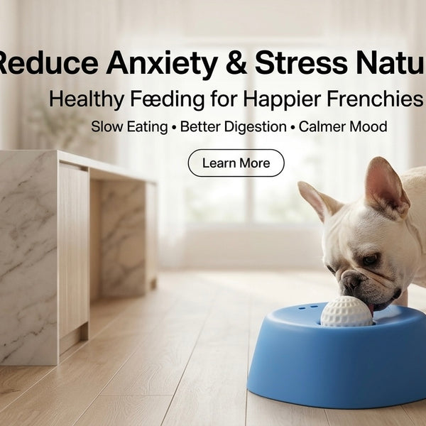 Frenchie Lick Bowl — Anti-Bloat Slow Feeder & Natural Anxiety Relief