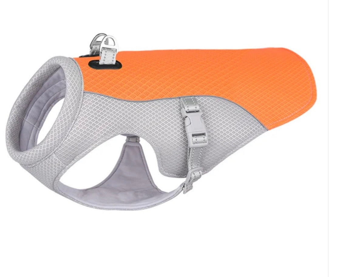 Frenchie Cooling Vest flat-lay showing orange and gray design with buckles and D-ring leash attachment