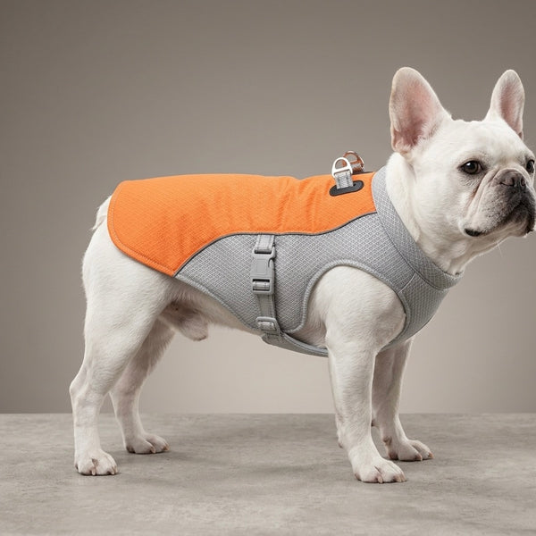 Frenchie Cooling Vest — 3-Layer Evaporative Cooling for Brachycephalic Dogs