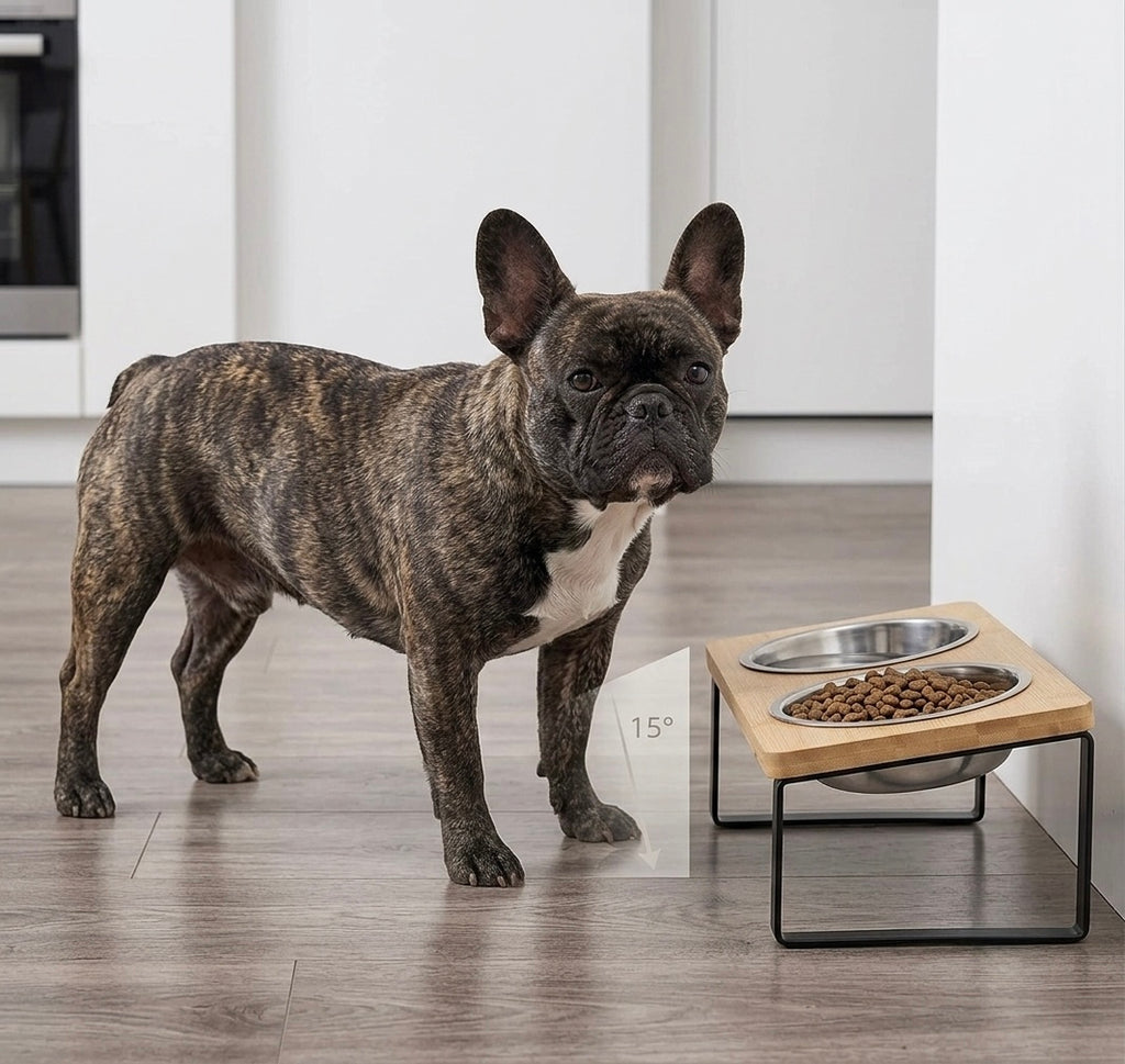 Frenchie TiltFeeder — 15° Elevated Anti-Gulp Bowl for Flat-Faced Dogs
