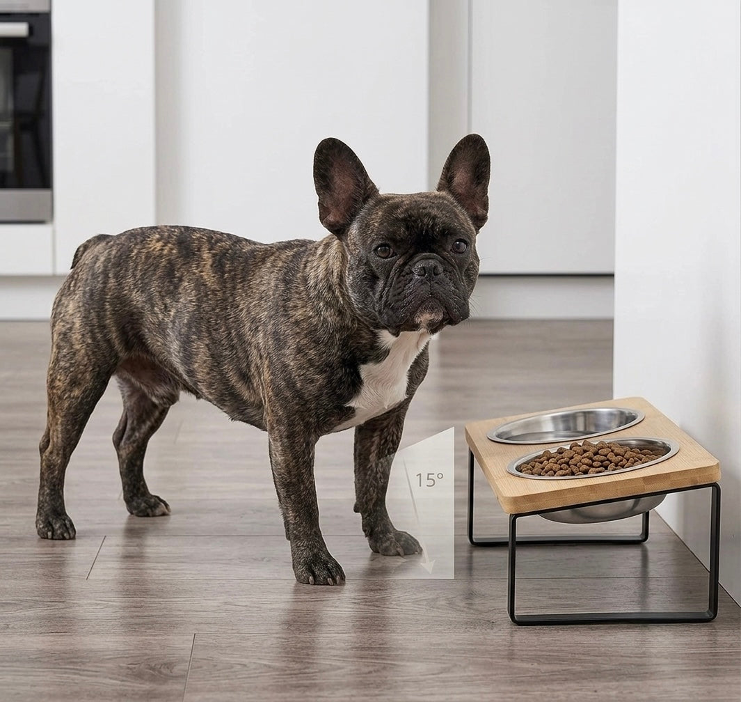 Frenchie TiltFeeder — 15° Elevated Anti-Gulp Bowl for Flat-Faced Dogs