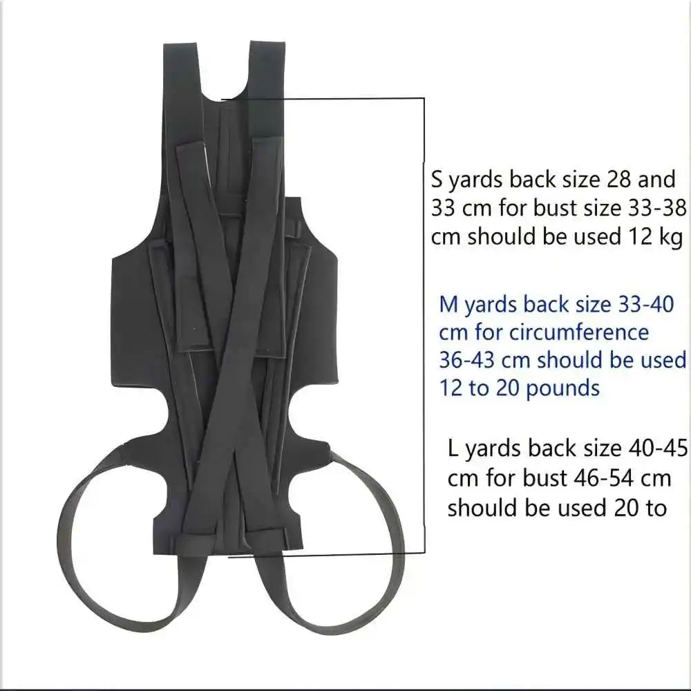 French Bulldog back brace breathable design — safe for brachycephalic breeds