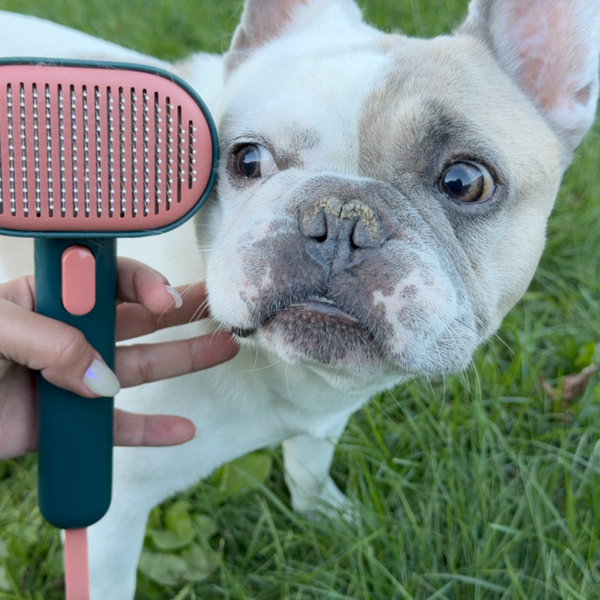 Frenchie ShedEase — Self-Cleaning Slicker Brush