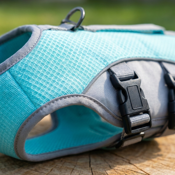 Frenchie Cooling Vest — 3-Layer Evaporative Cooling for Brachycephalic Dogs