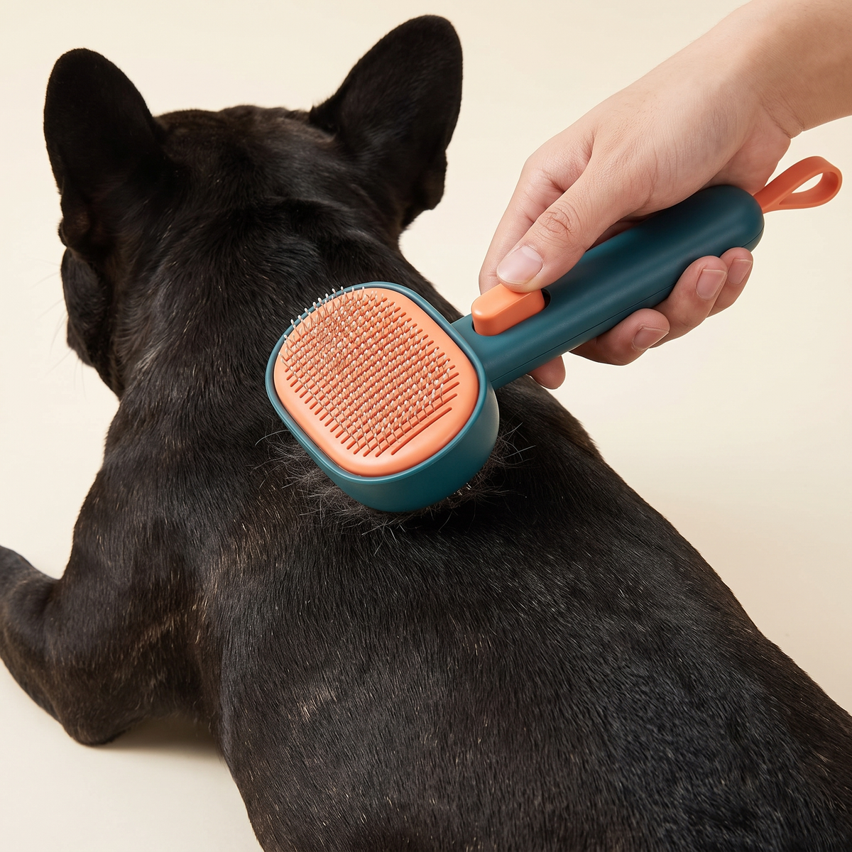 Brush lifting loose fur from a French Bulldog coat