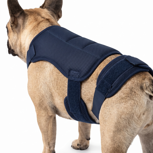 Frenchie Back Support Brace navy