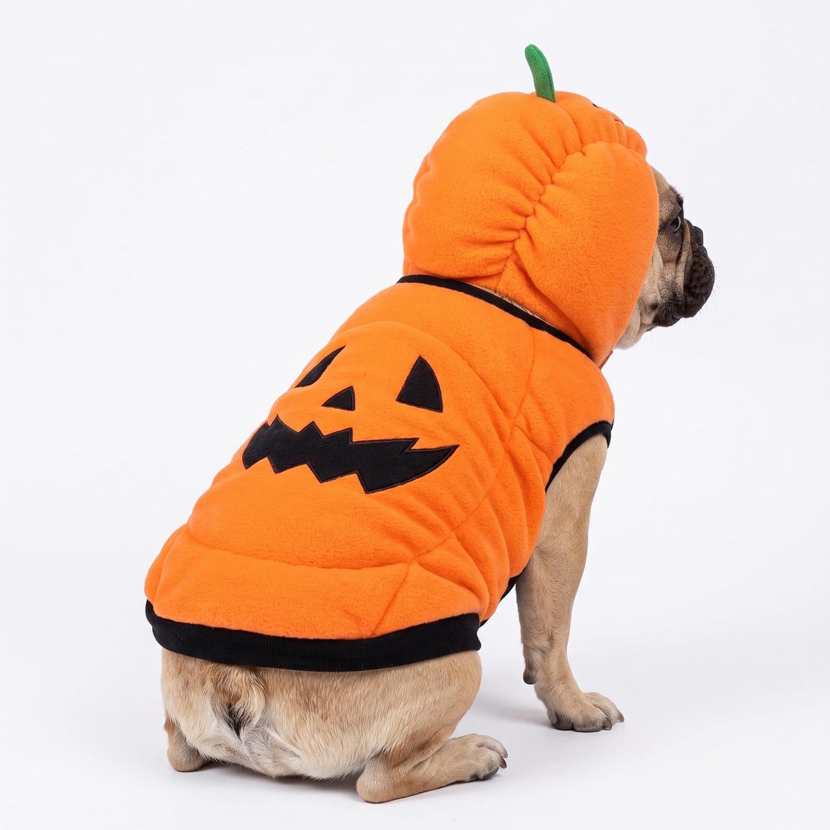 Frenchie Pumpkin Halloween Costume