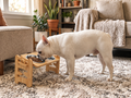 Frenchie bamboo tilted elevated feeder