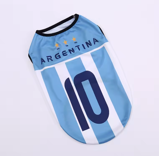 Jersey Argentina | LilFrenchy